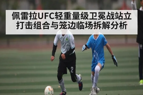 佩雷拉UFC轻重量级卫冕战站立打击组合与笼边临场拆解分析